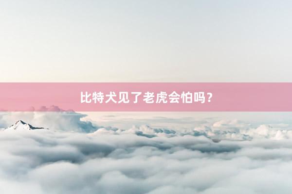 比特犬见了老虎会怕吗?
